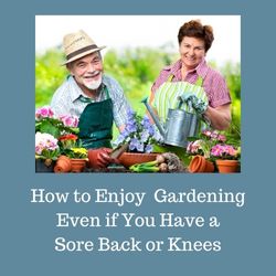 Raised Gardening Beds – Perfect for Arthritic Gardeners