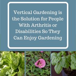 How Gardeners with Arthritis Can Grow More in Less Space With Vertical Plant Growing Systems